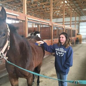 Meet your Posher, Lucy